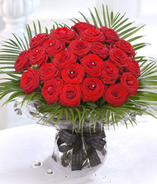 24 Red Roses